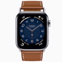 Picture of Apple Watch Series 6 Hermès Silver Stainless Steel Case with Attelage Single Tour
