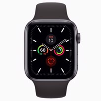 Picture of Apple Watch S5 Space Grey Aluminum (44mm)