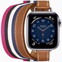 Picture of Apple Watch Series 6 Hermès Silver Stainless Steel Case with Attelage Double Tour
