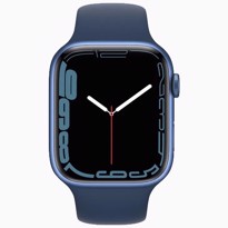 Picture of Apple Watch Series 7 Blue Aluminium Case with Sport Band (41mm)