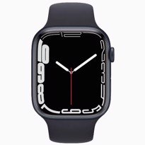 Picture of Apple Watch Series 7 Gray Aluminium Case with Sport Band (45mm)